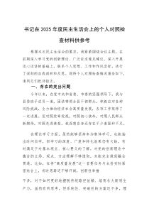 书记在2025年度民主生活会上的个人对照检查材料供参考