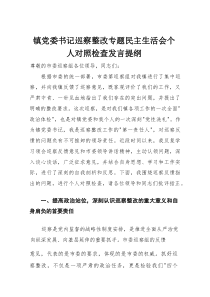 镇党委书记巡察整改专题民主生活会个人对照检查发言提纲