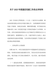 关于2025年度基层党建工作的点评材料
