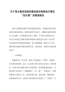 关于某乡基层党组织建设基本制度执行情况回头看的督查报告