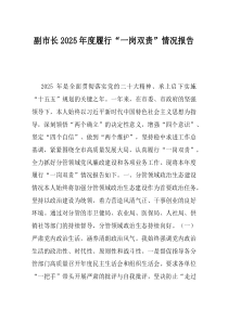 副市长2025年度履行一岗双责情况报告