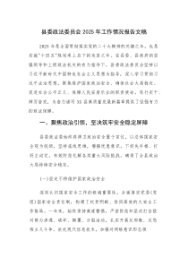 县委政法委员会2025年工作情况报告文稿