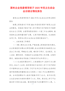 国有企业党委领导班子2025年民主生活会会后综合情况报告