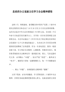 县政府办公室副主任学习全会精神感悟