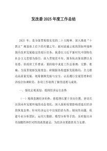 发改委2025年度工作总结