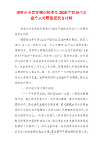 国有企业党支部纪检委员2025年组织生活会个人对照检查发言材料