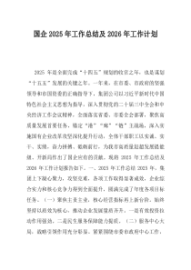 国企2025年工作总结及2026年工作计划