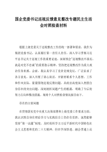 国企党委书记巡视反馈意见整改专题民主生活会对照检查材料
