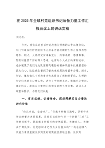 在2025年全村党组织书记后备力量工作汇报会议上的讲话文稿