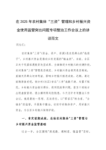 在2025年农村集体“三资”管理和乡村振兴资金使用监管突出问题专项整治工作会议上的讲话范文