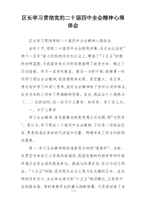 区长学习贯彻党的二十届四中全会精神心得体会