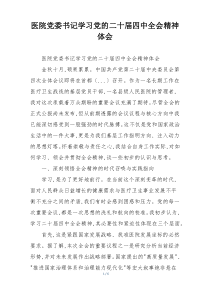 医院党委书记学习党的二十届四中全会精神体会