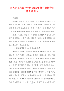 县人才工作领导小组2025年第一次例会主持总结讲话