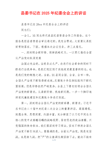县委书记在2025年纪委全会上的讲话