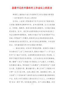 县委书记在市委农村工作会议上的发言