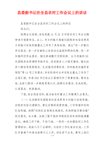 县委副书记在全县农村工作会议上的讲话
