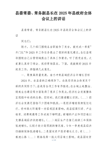 县委常委、常务副县长在2025年县政府全体会议上的讲话