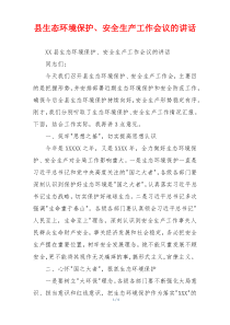 县生态环境保护、安全生产工作会议的讲话