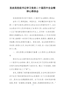 发改局党组书记学习党的二十届四中全会精神心得体会