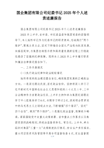 国企集团有限公司纪委书记2025年个人述责述廉报告