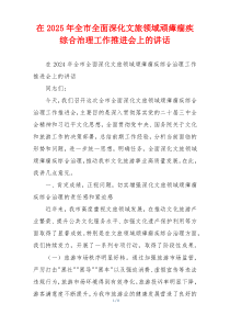 在2025年全市全面深化文旅领域顽瘴痼疾综合治理工作推进会上的讲话