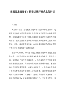 在税务系统青年才俊培训班开班式上的讲话