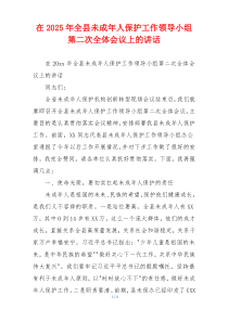 在2025年全县未成年人保护工作领导小组第二次全体会议上的讲话