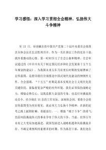 学习感悟深入学习贯彻全会精神弘扬伟大斗争精神