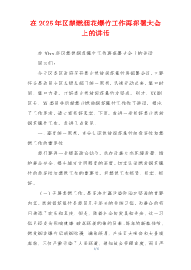 在2025年区禁燃烟花爆竹工作再部署大会上的讲话