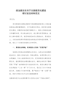 政治部主任关于支部规范化建设研讨发言材料范文
