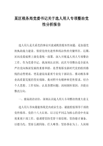 某区税务局党委书记关于选人用人专项整治党性分析报告