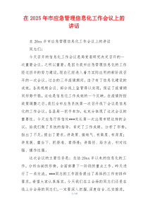 在2025年市应急管理信息化工作会议上的讲话