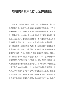 某局副局长2025年度个人述职述廉报告