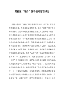 某社区两委班子任期述职报告