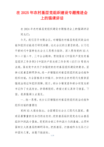 在2025年农村基层党组织建设专题推进会上的强调讲话