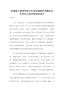 街道党工委领导班子生态环境保护专题民主生活会上的点评讲话范文