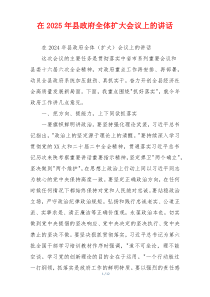 在2025年县政府全体扩大会议上的讲话