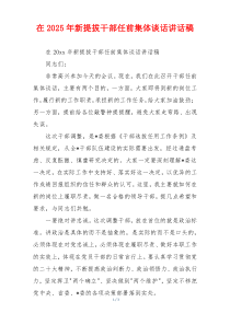 在2025年新提拔干部任前集体谈话讲话稿