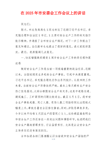 在2025年市安委会工作会议上的讲话