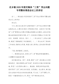 在乡镇2025年度村集体“三资”突出问题专项整治推进会议上的讲话