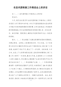 在县巩固衔接工作推进会上的讲话