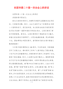 在团市委二十届一次全会上的讲话