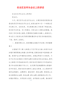 在全区总河长会议上的讲话