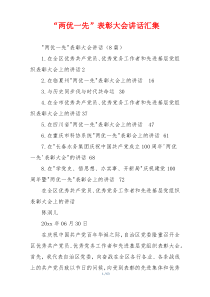 “两优一先”表彰大会讲话汇集