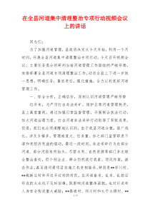 在全县河道集中清理整治专项行动视频会议上的讲话