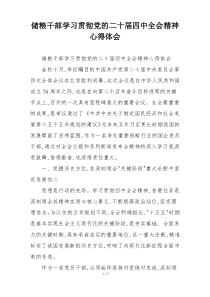 储粮干部学习贯彻党的二十届四中全会精神心得体会