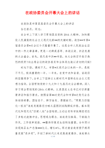 在政协委员会开幕大会上的讲话