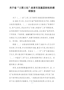 关于省“三资三化”改革引发基层担忧的调研报告
