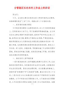 分管副区长在农村工作会上的讲话