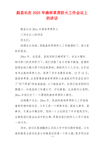 副县长在2025年森林草原防火工作会议上的讲话